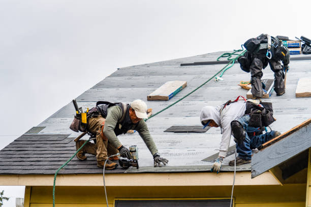Professional Storm Damage Roof Repair technician working in Center Sandwich, NH